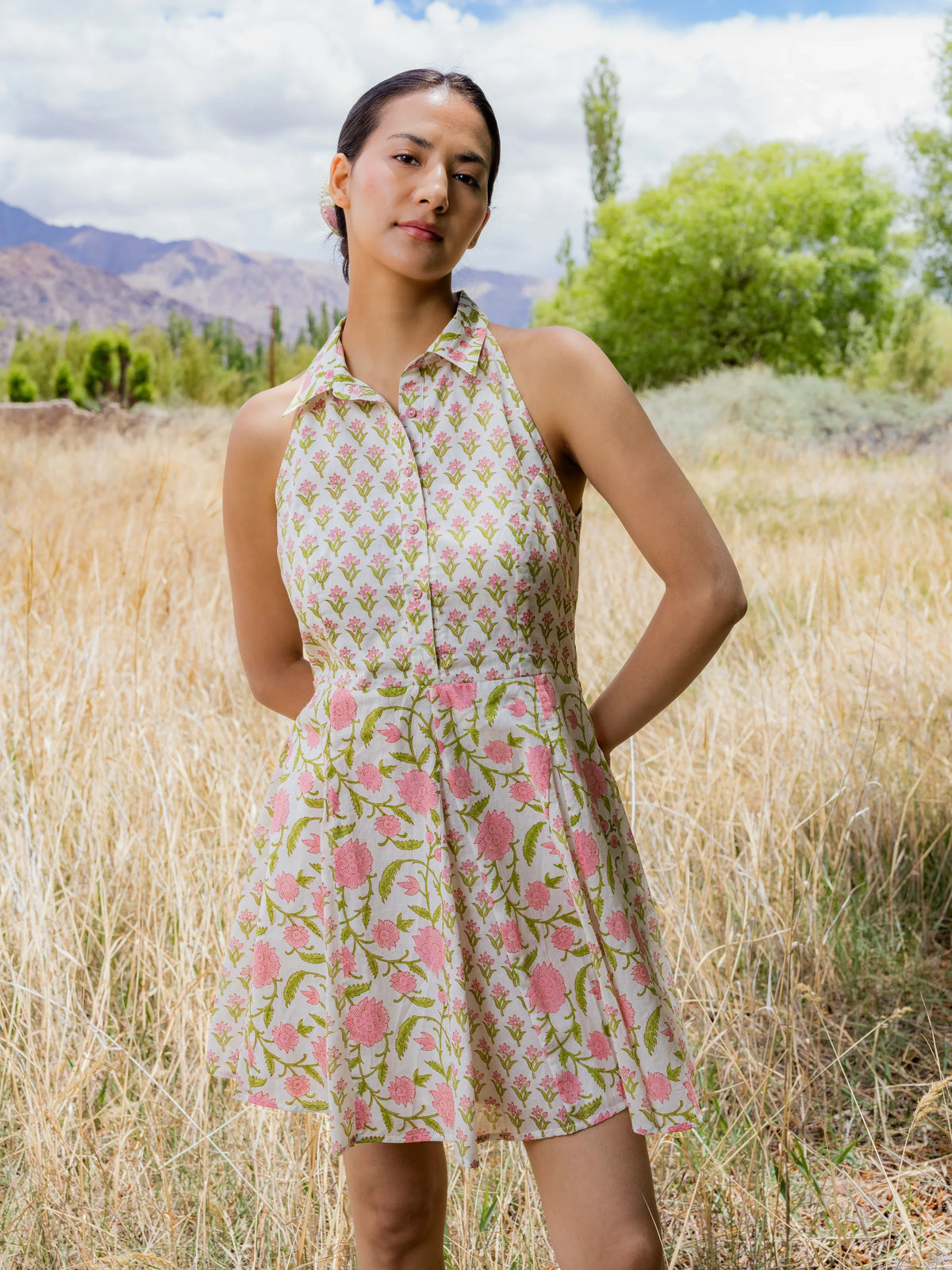 Shyok Dress in Pink